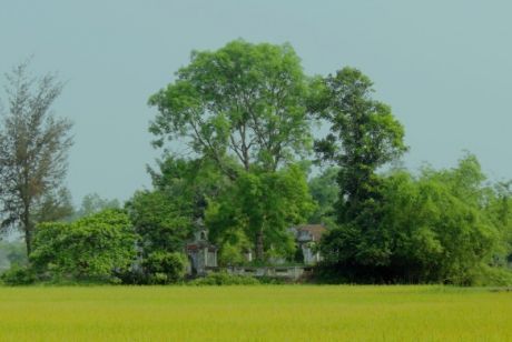 NGUYỄN NGHI - Tác giả truyện thơ QUÂN TRUNG ĐỐI Ngôi sao và kiệt tác văn học họ Nguyễn Tiên Điền bị lãng quên TS PHẠM TRỌNG CHÁNH