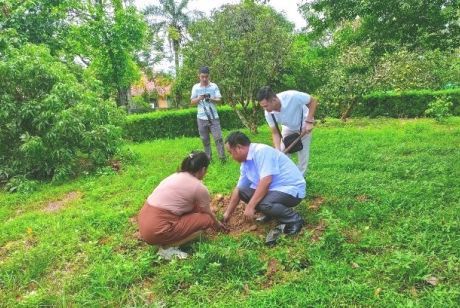 Trồng cây Đàn hương tại Di tích Quốc gia đặc biệt Khu lưu niệm Nguyễn Du